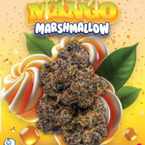 Honey Mango 2